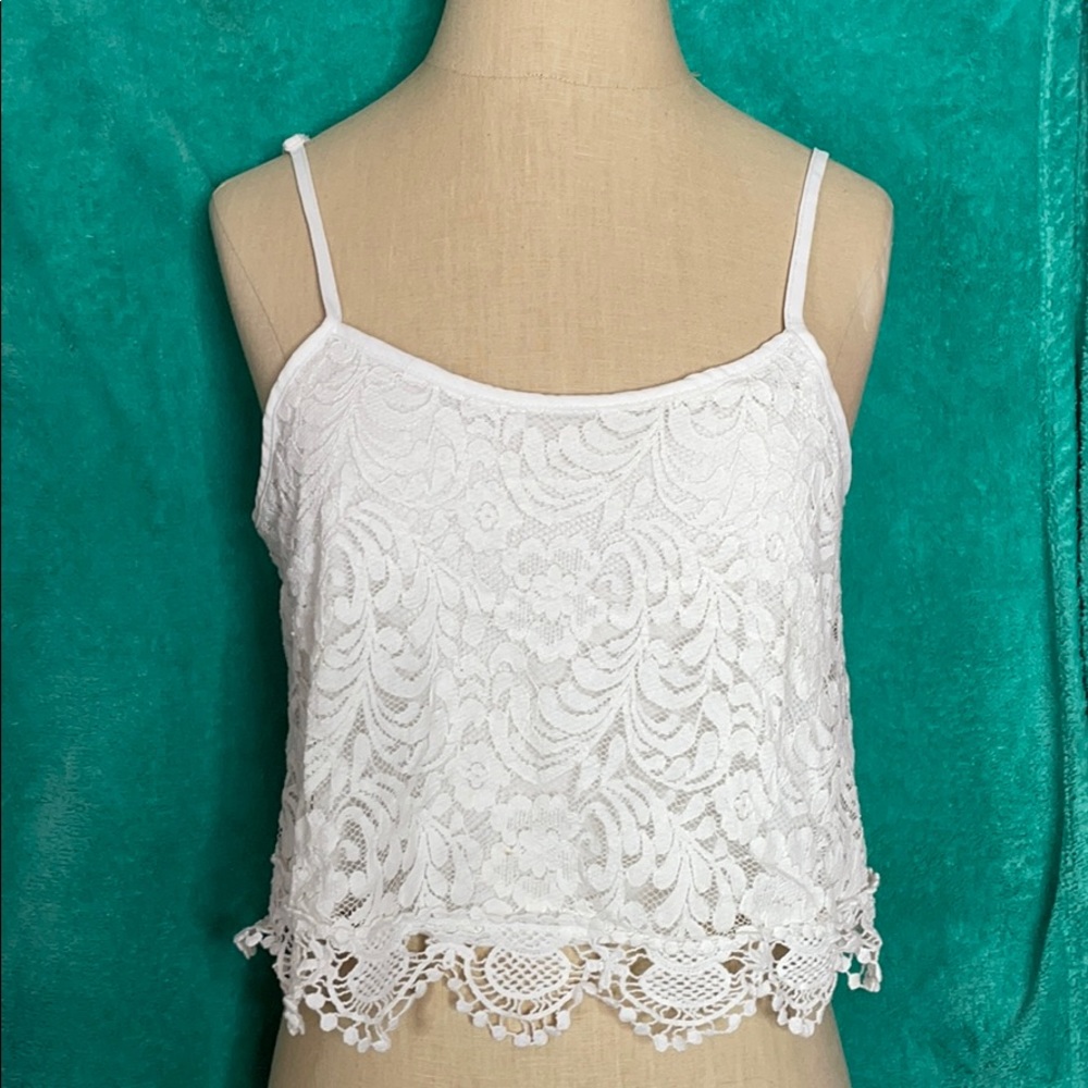 Ambiance appeared cropped top